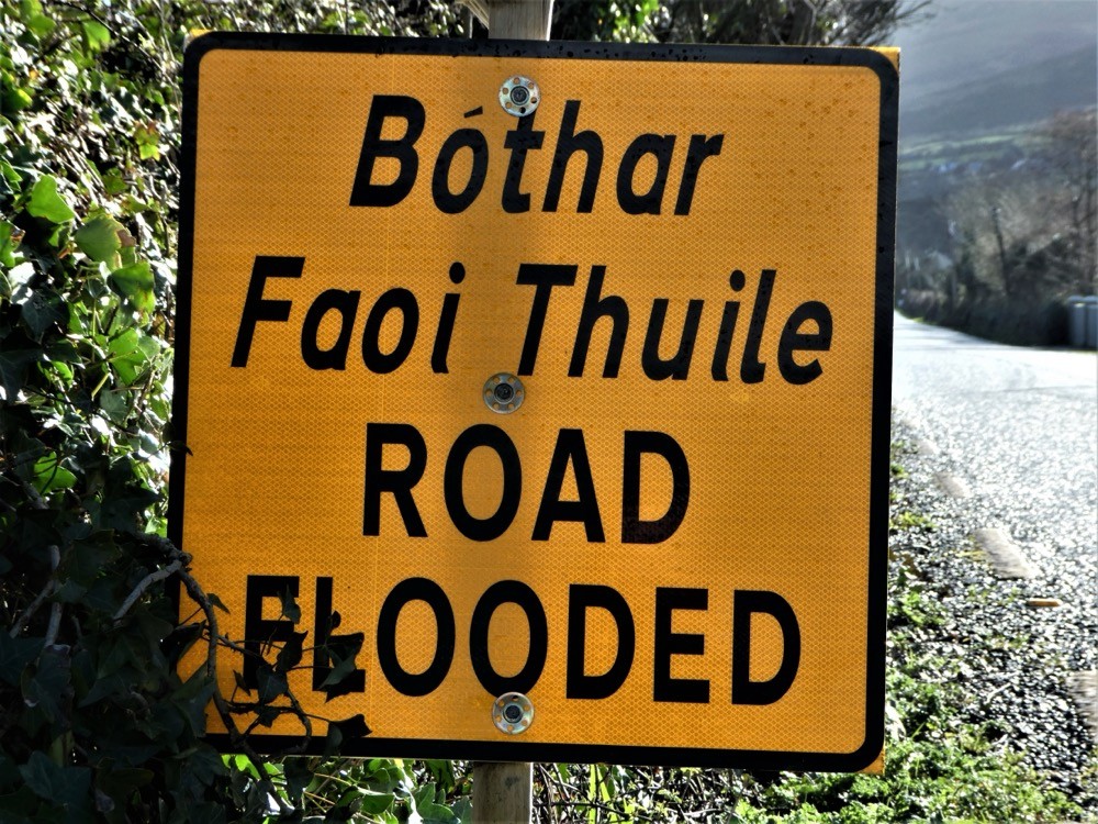 Building a Real-Time Flood Monitoring Dashboard for Midleton